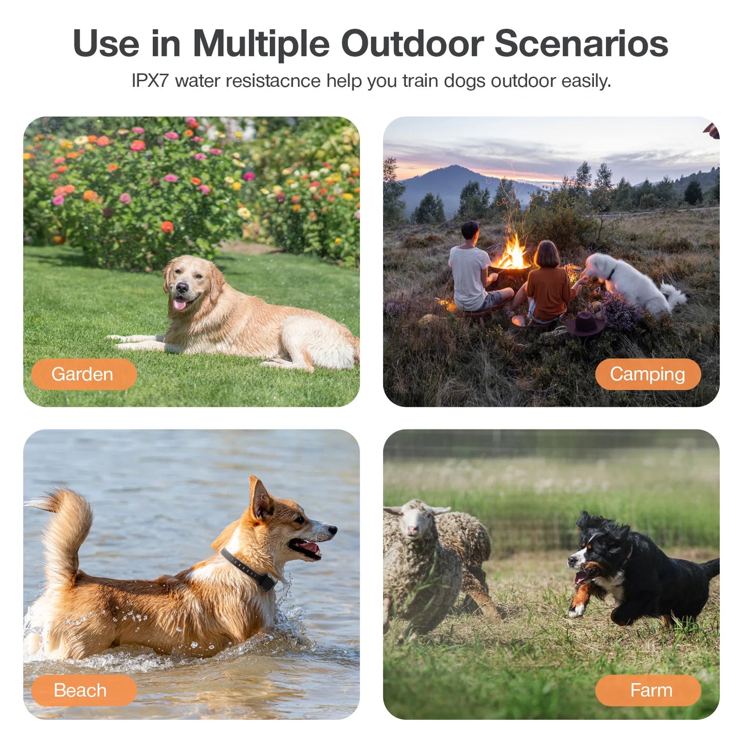 GPS Wireless Electric Dog Fence Safe Easy Setup Outdoor Dog Containment System Waterproof Rechargeable Dog Collar for Large Dog